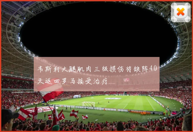 韦斯利大腿肌肉三级损伤将缺阵40天返回罗马接受治疗