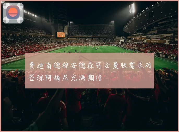 费迪南德称安德森符合曼联需求对签琼阿梅尼充满期待